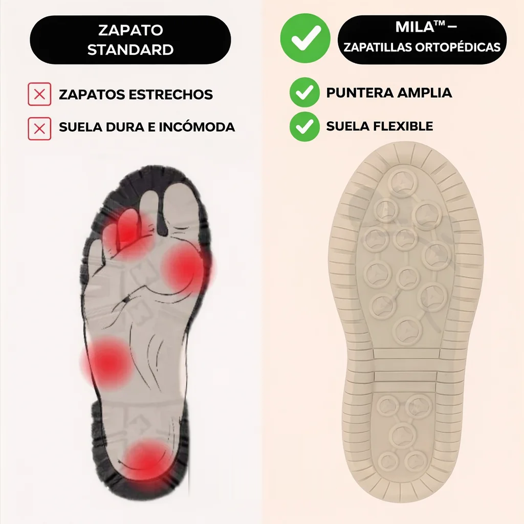 Tenis cómodos con cierre